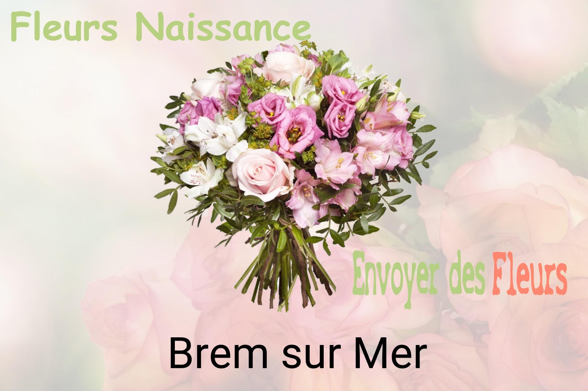 Bouquet de fleurs de naissance livré à Brem-sur-Mer